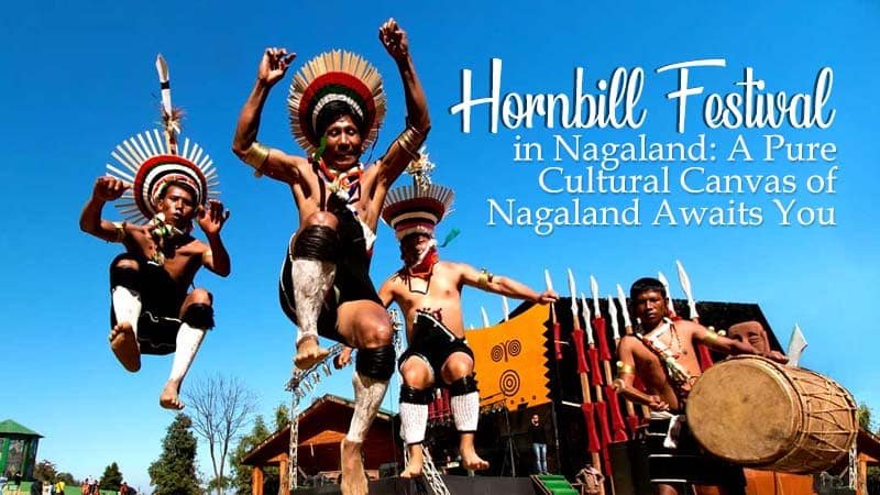 Hornbill Festival Travel Package